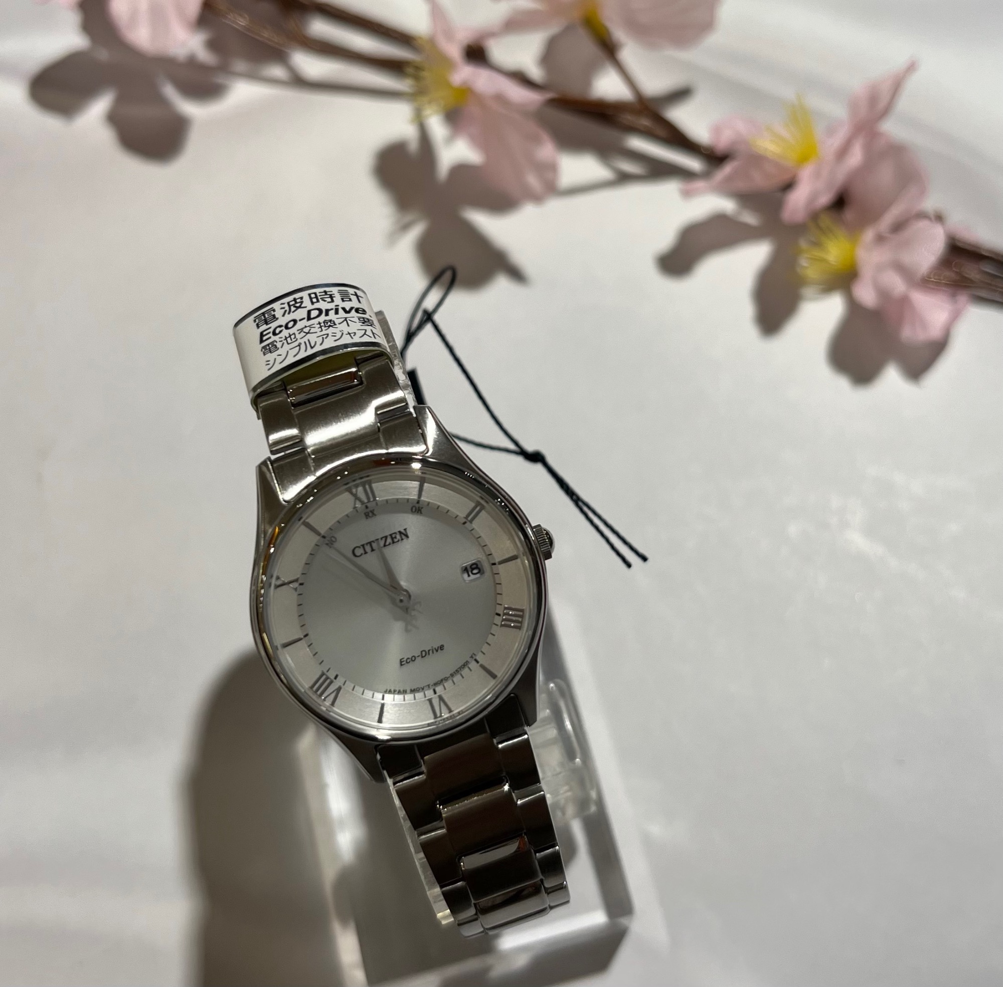 Citizen spring outlet drive