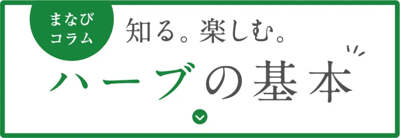 まなびコラム 知る。楽しむ。ハーブの基本