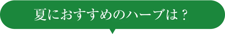 夏におすすめのハーブは？