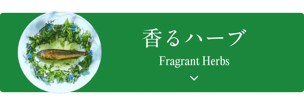 香るハーブ Fragrant Herbs