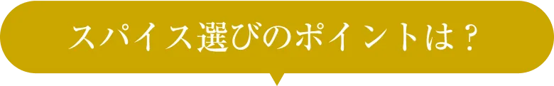 スパイス選びのポイントは？