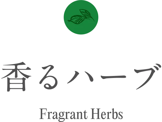 香るハーブ fragrant-herbs