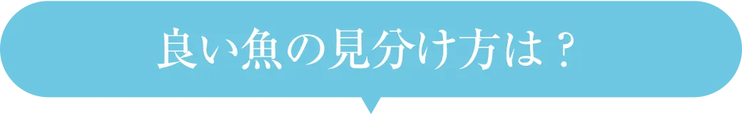 良い魚の見分け方は？